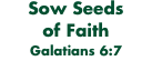 Sow Seeds  of Faith Galatians 6:7